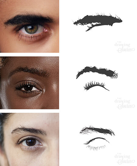 realistic eyebrow drawing