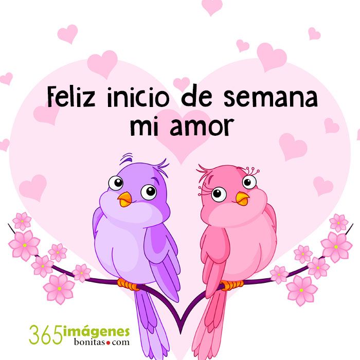 lindo inicio de semana amor