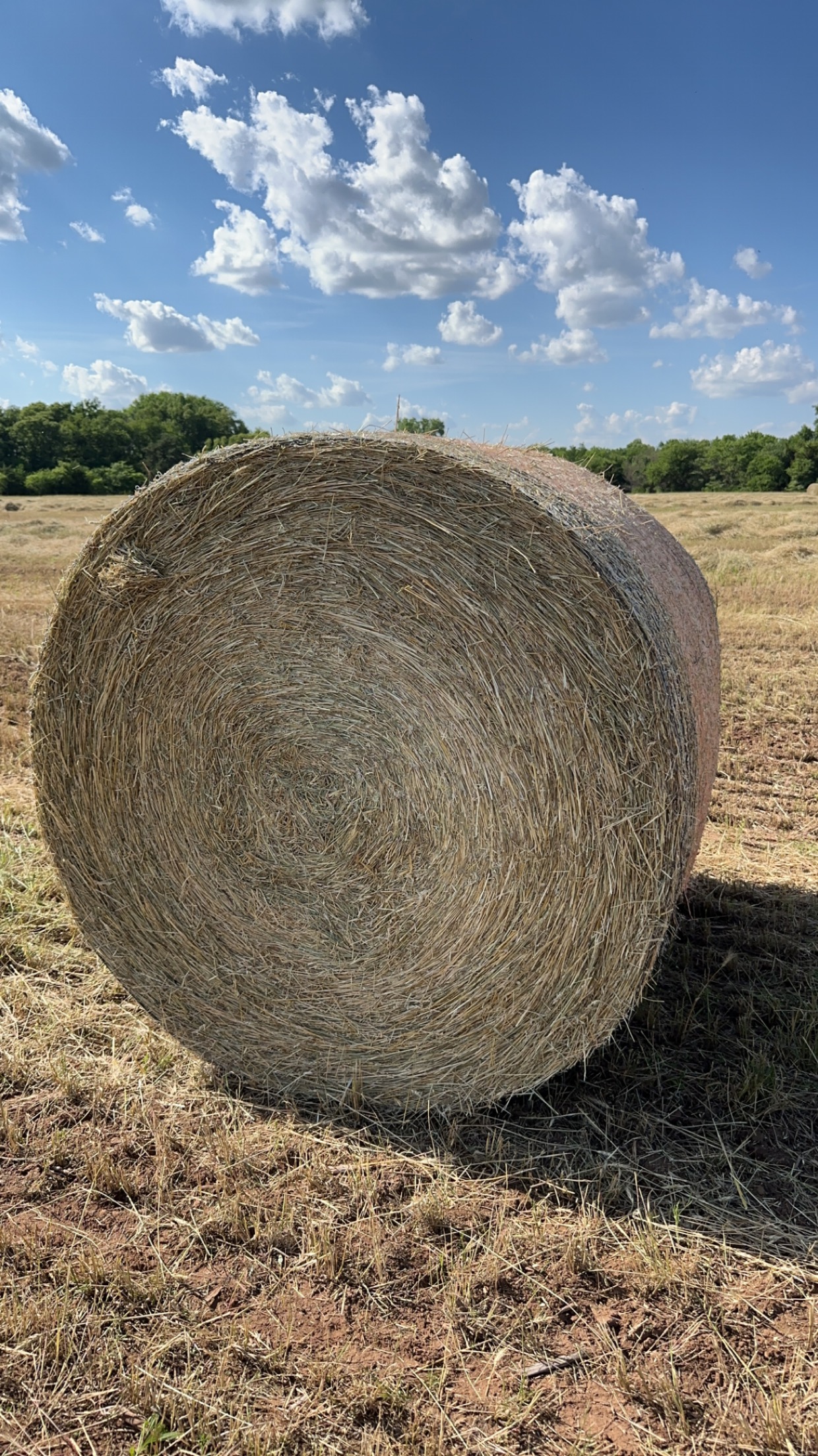 hay bales for sale near me