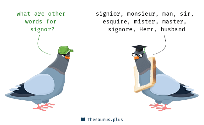 signor meaning