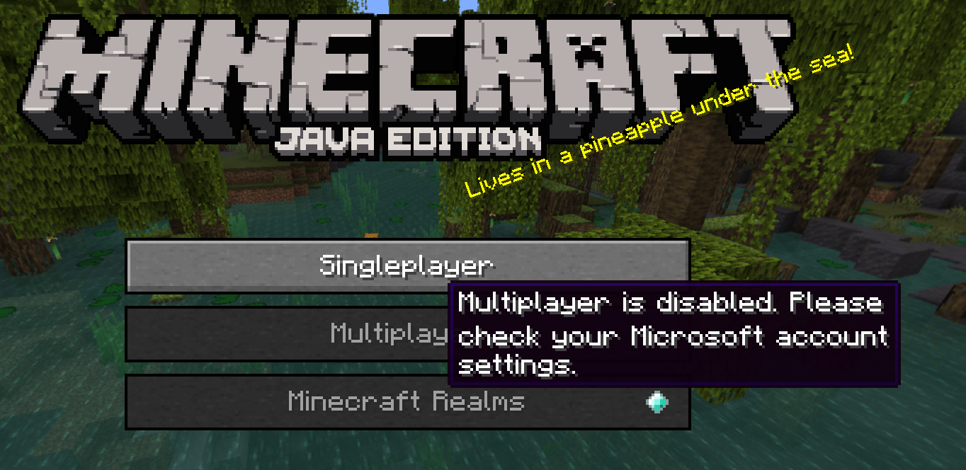 minecraft multiplayer settings greyed out