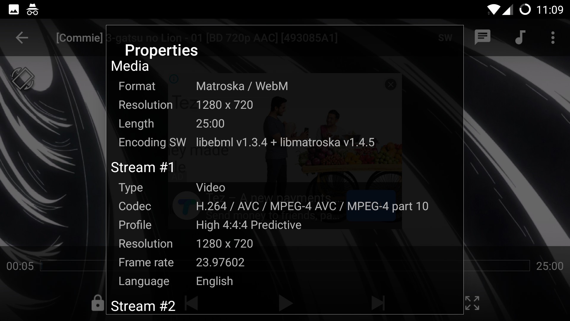 mx player hdr codec