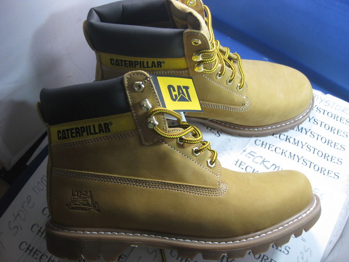 cat footwear