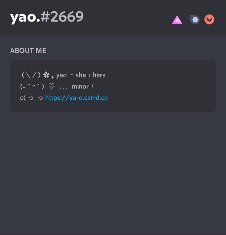 discord bios aesthetic