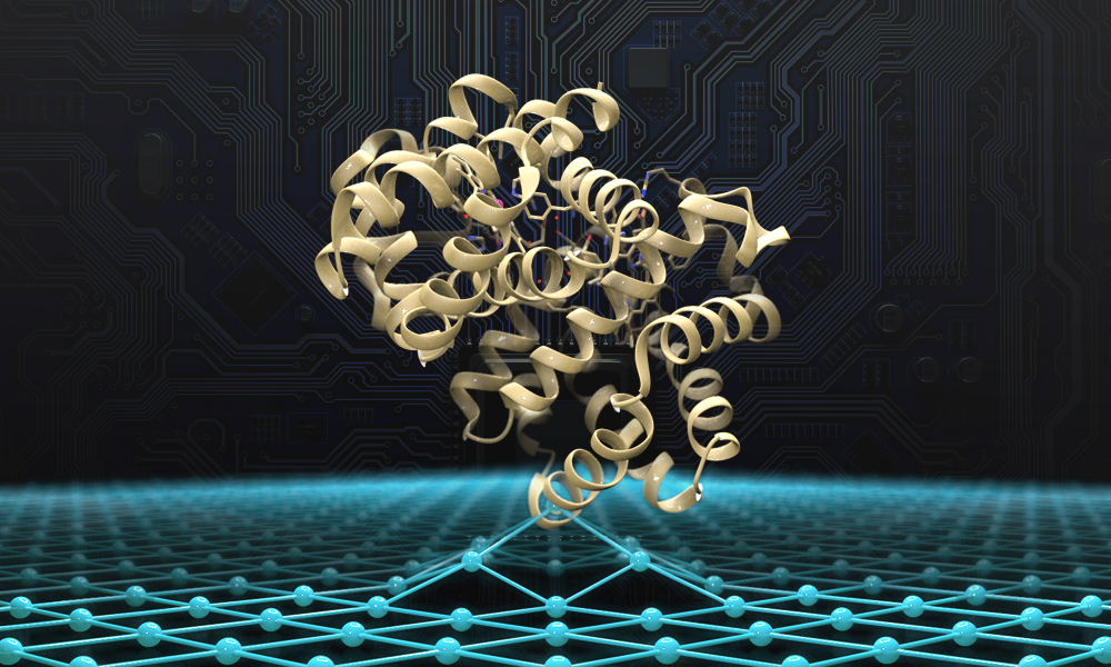 3d jigsaw protein structure prediction