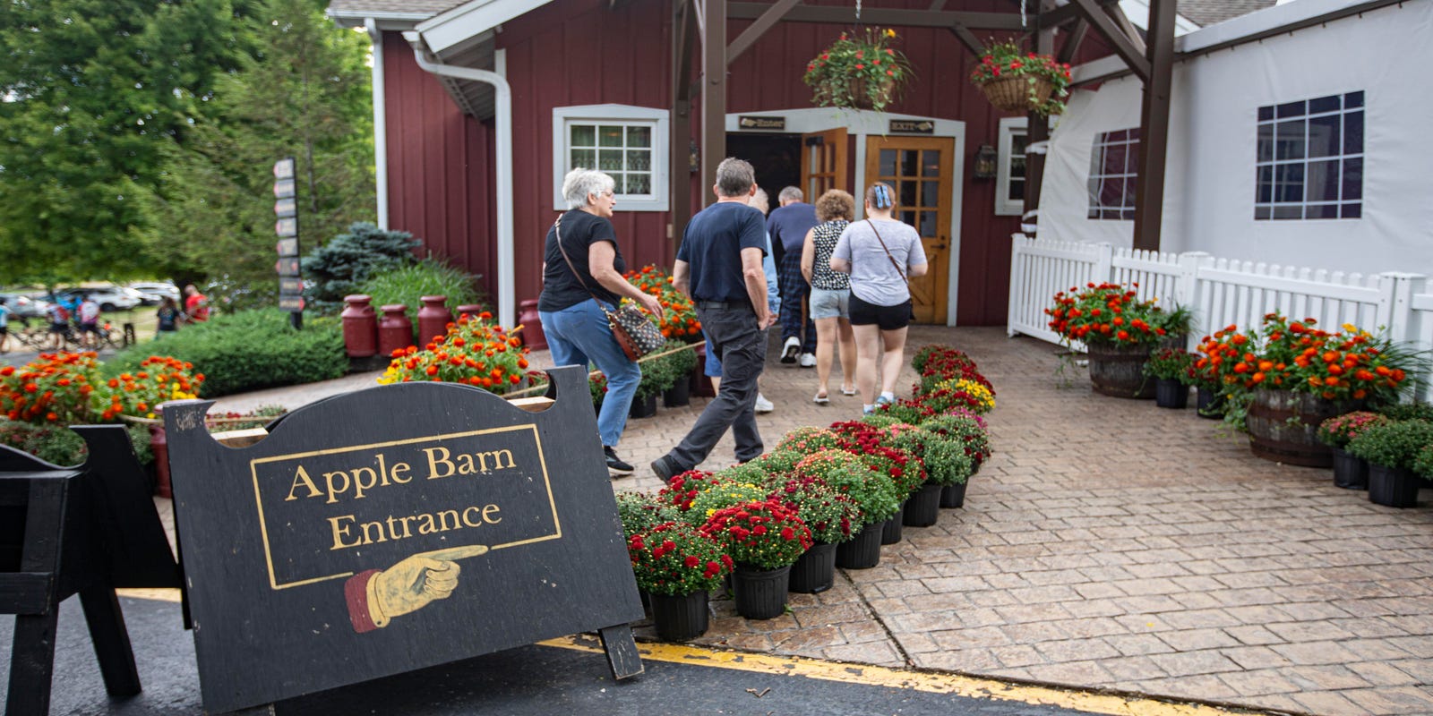 edwards apple orchard donut price