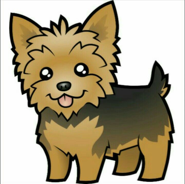 yorkie dog cartoon