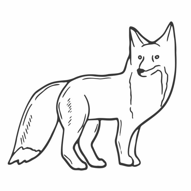 outline picture of fox