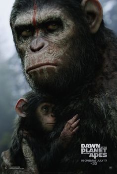 dawn of the planet of the apes 123