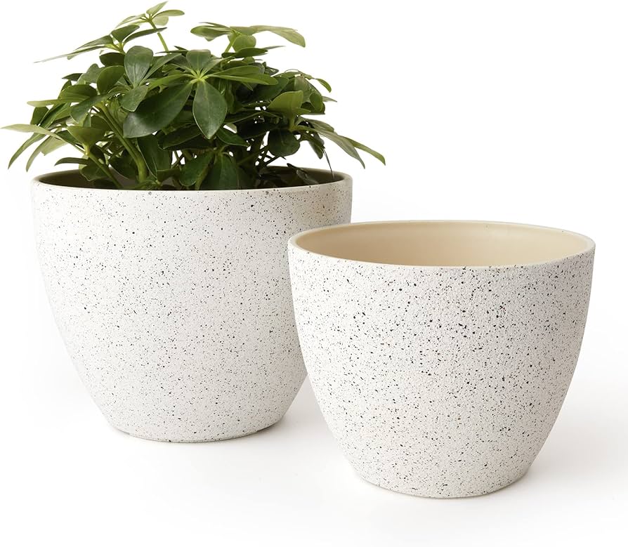 amazon planters