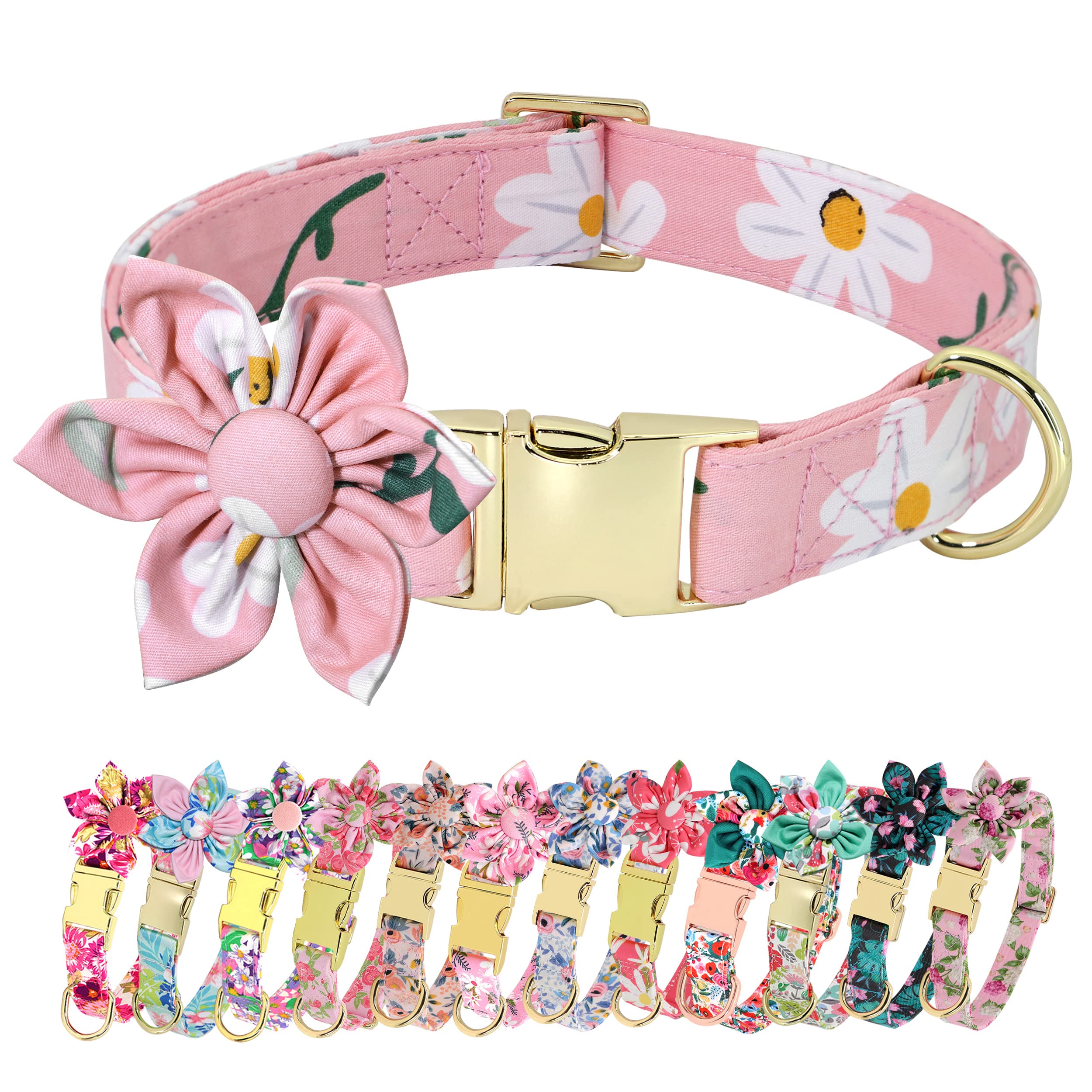 dog collars for female