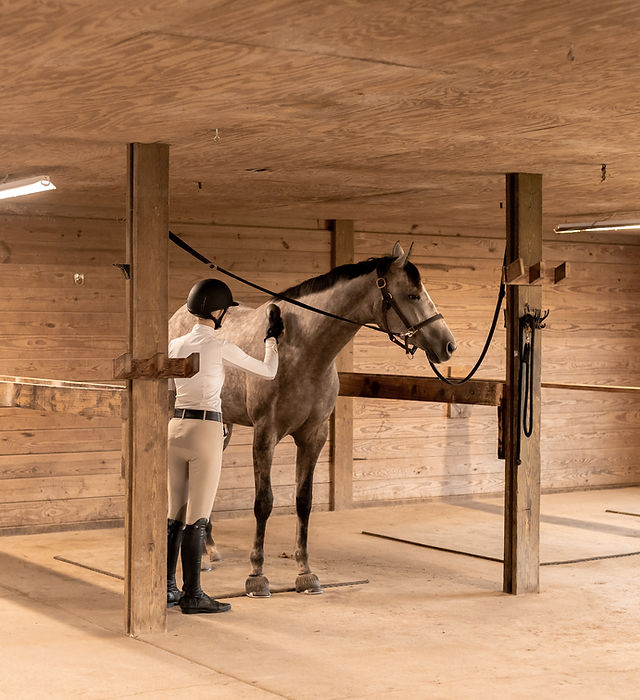 horseback riding murfreesboro tn