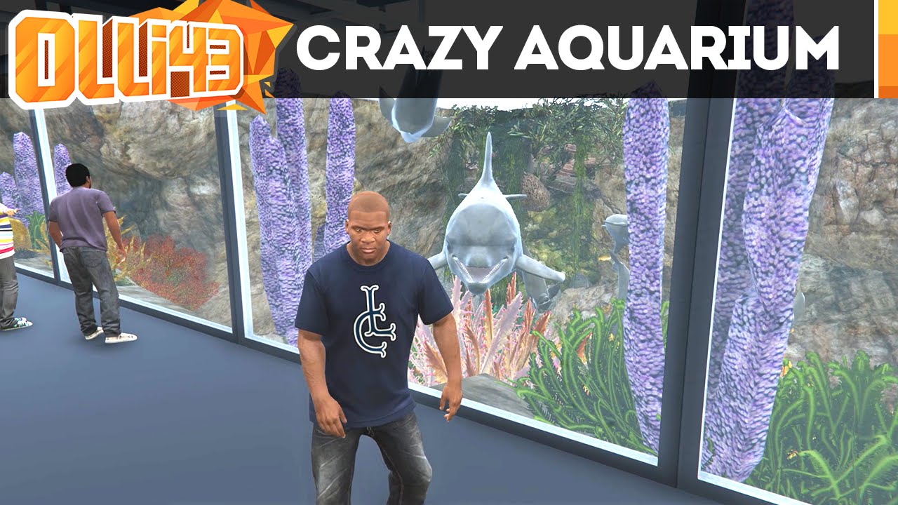 gta aquarium