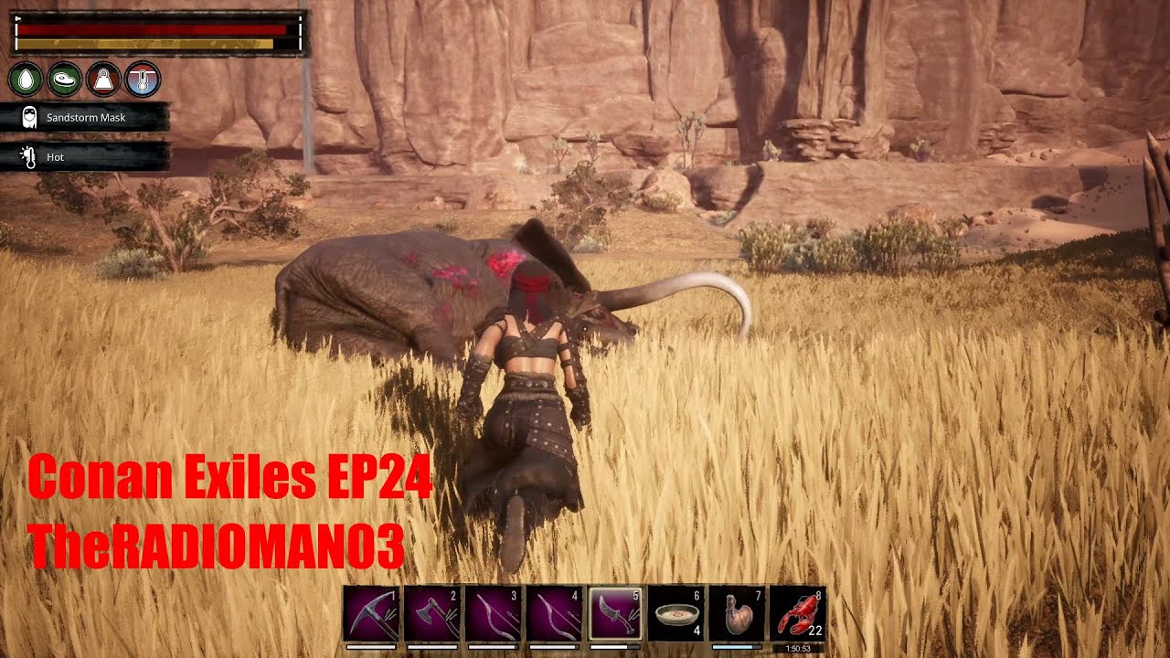 thick leather conan exiles