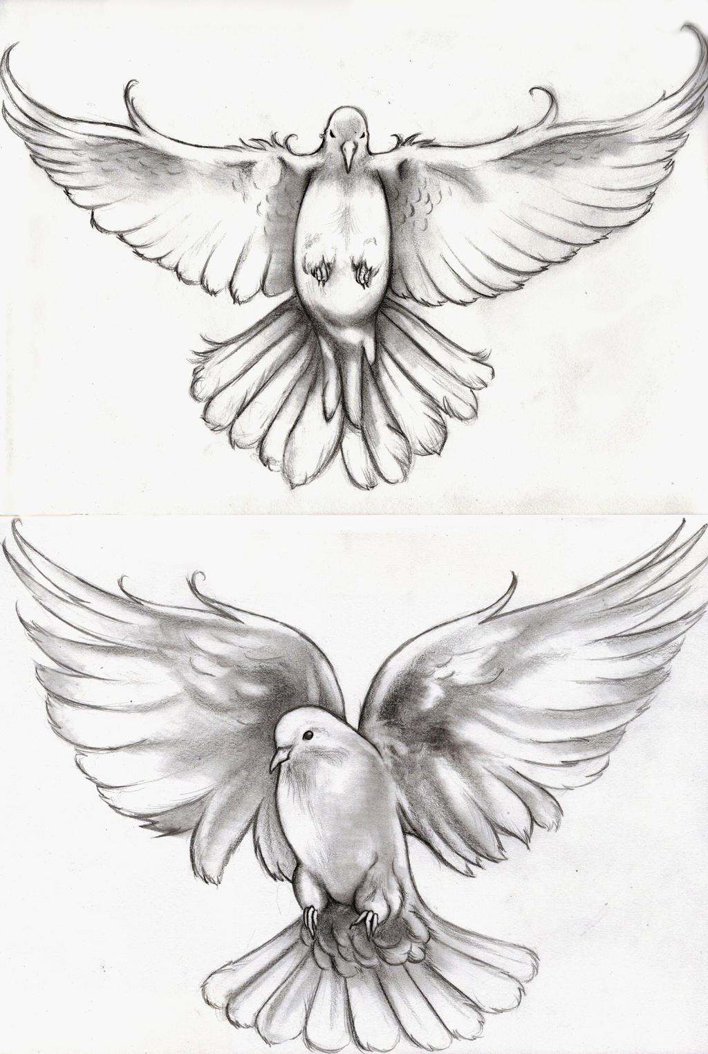 tattoo drawings of doves