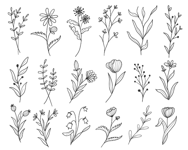 flower line drawing