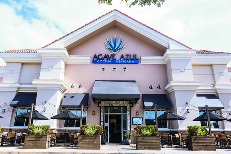 agave azul winter springs