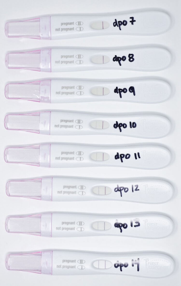 when to take pregnancy test calculator