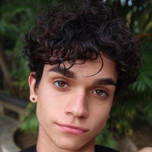 marcus dobre mofid