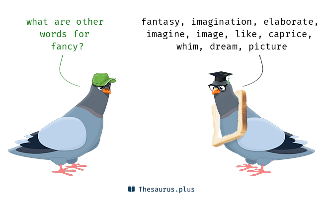 thesaurus for fancy