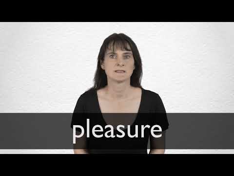 pleasure traducción