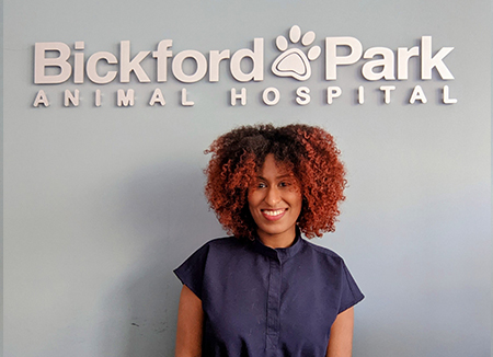 bickford animal hospital