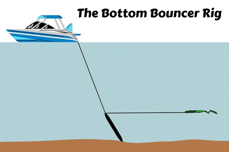 bottom bouncing rigs for walleye