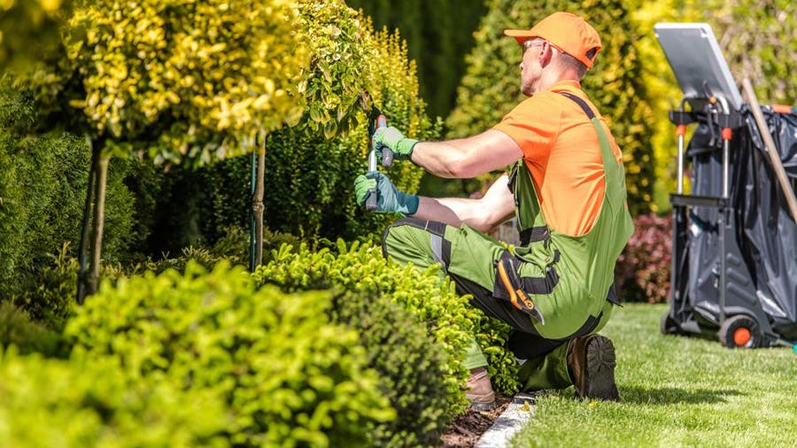 landscape services near me