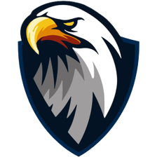 eagle vpn apk