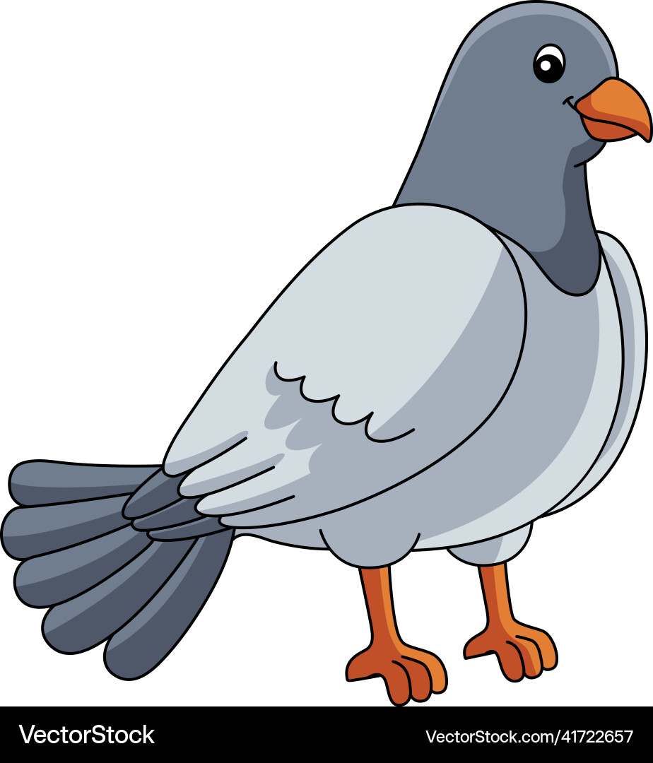 pigeon clipart