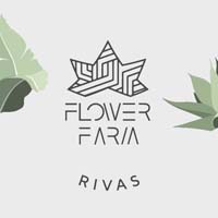 flower farm rivas