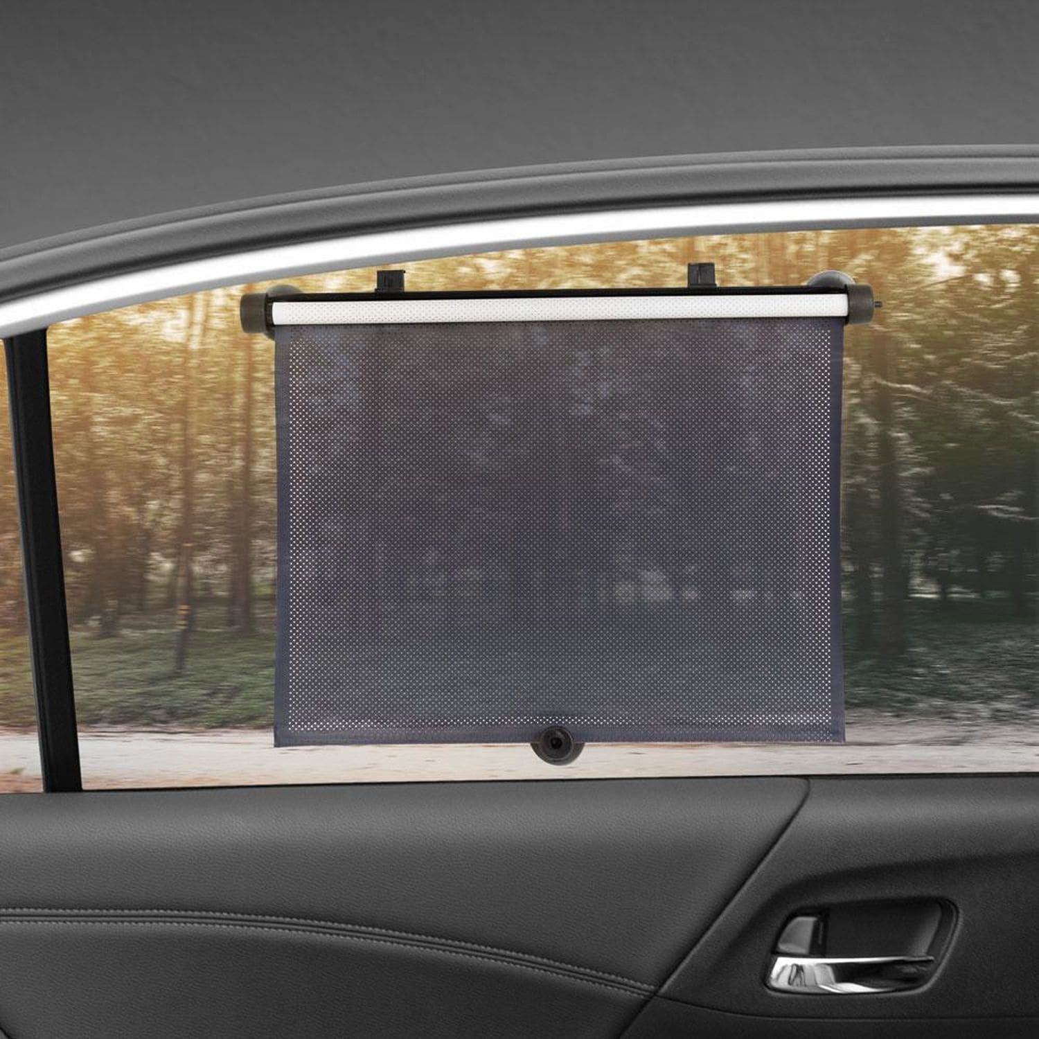 car roller shade