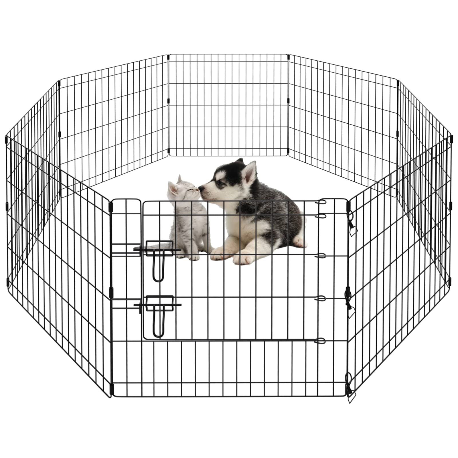 dog pen indoor