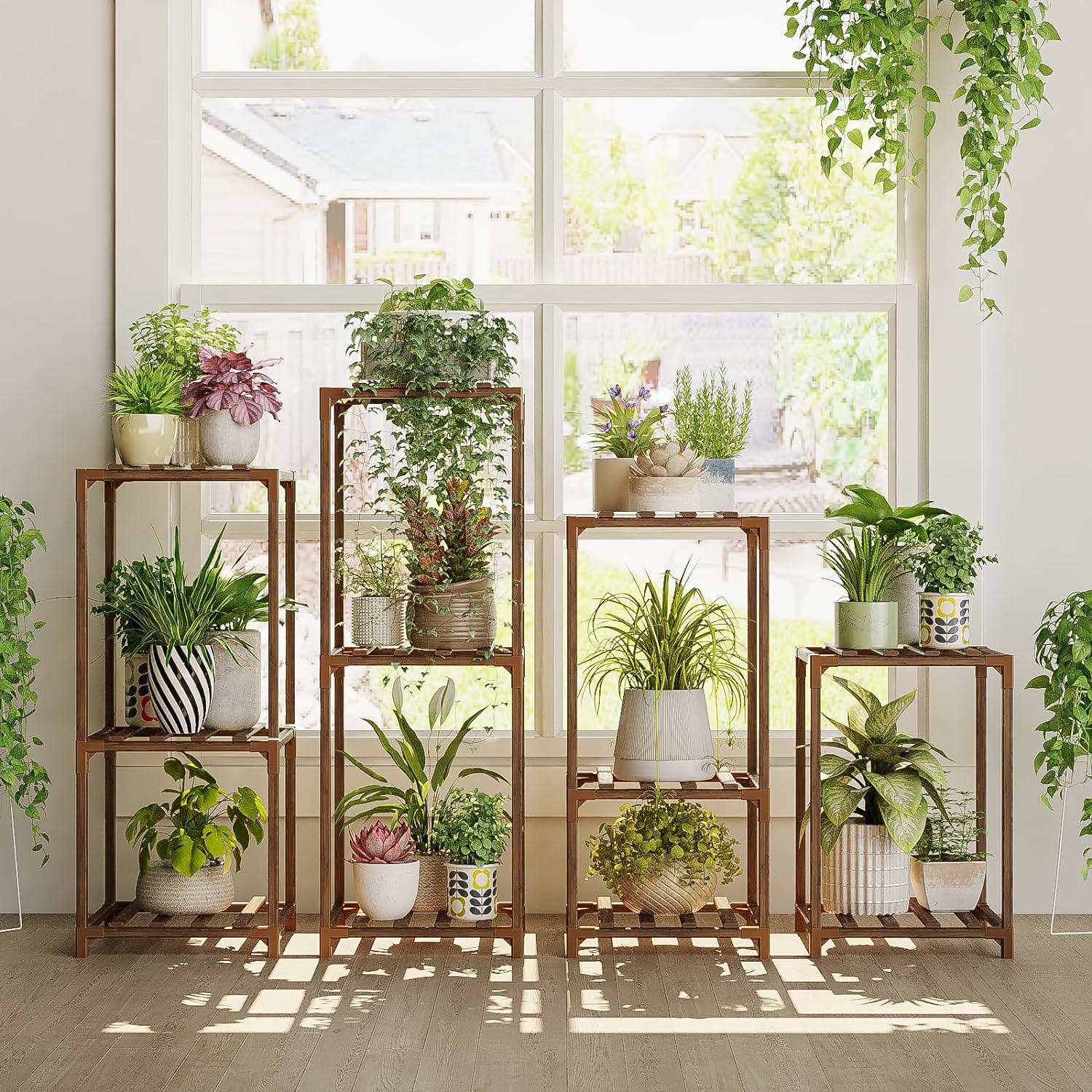 plant rack outdoor