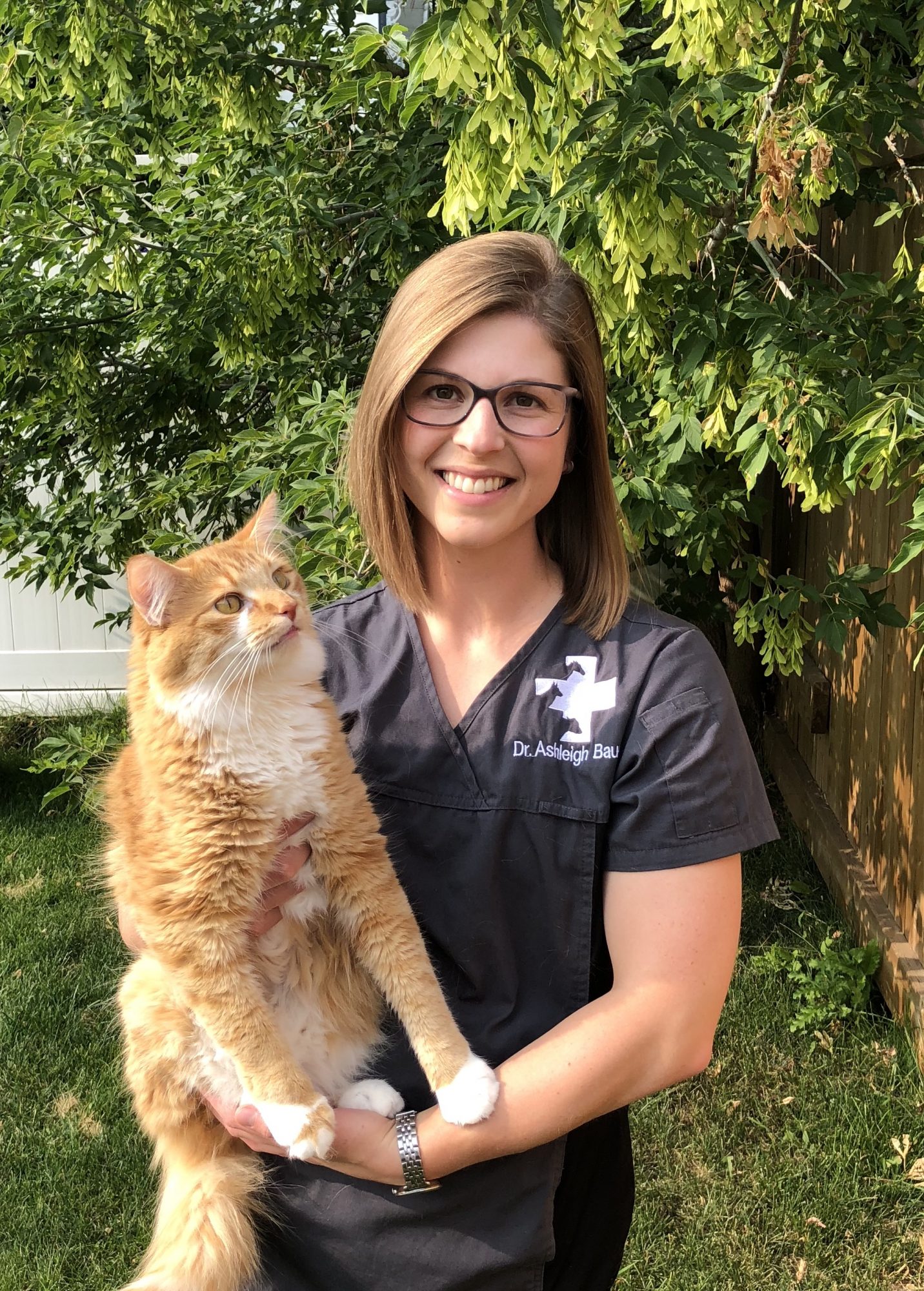 stony plain veterinary