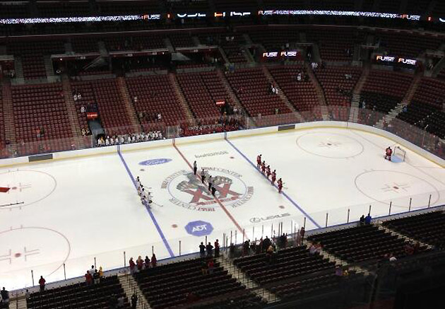 florida panthers average attendance