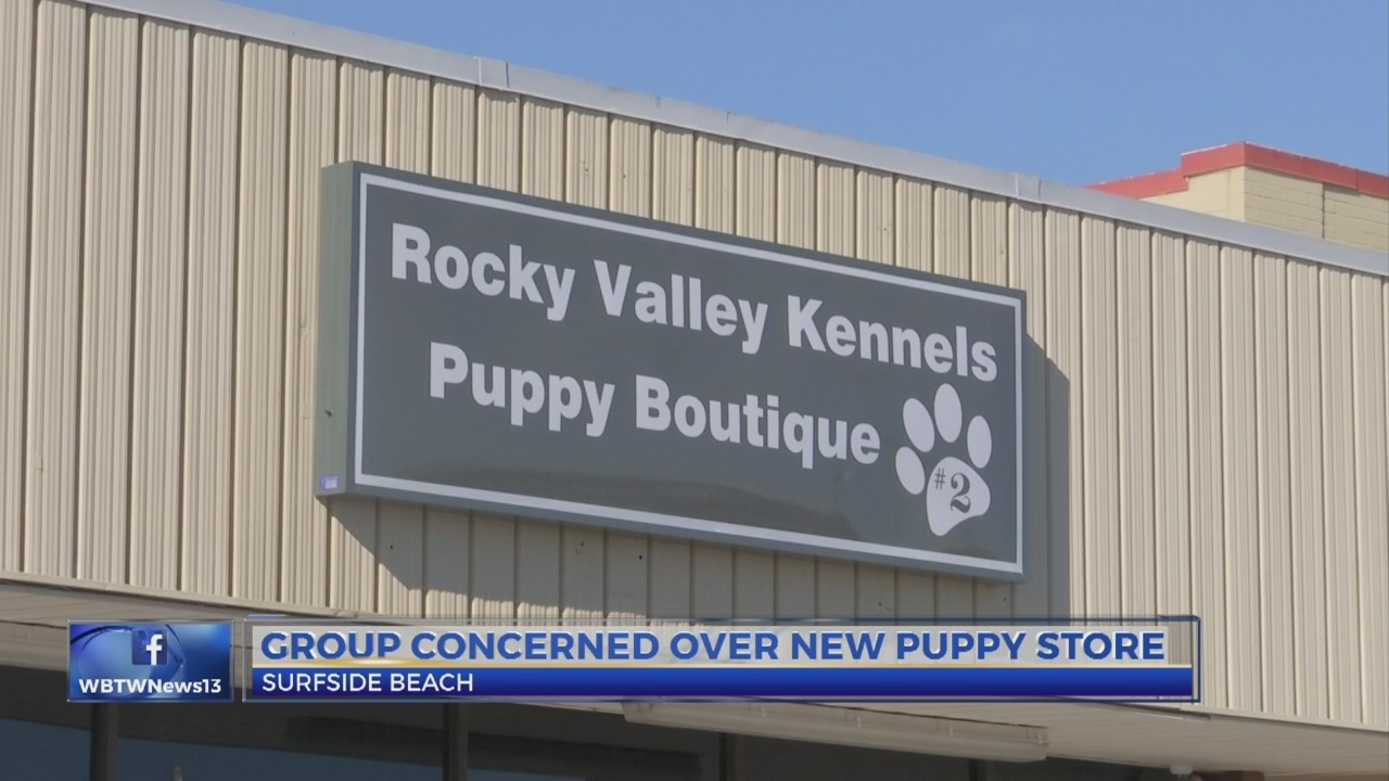 rocky valley kennels puppy boutique