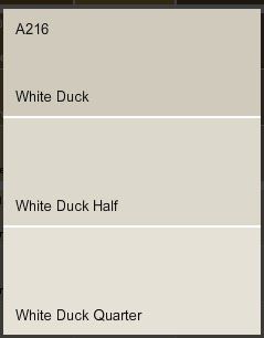 white duck paint colour