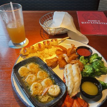 red lobster tampa palms reviews