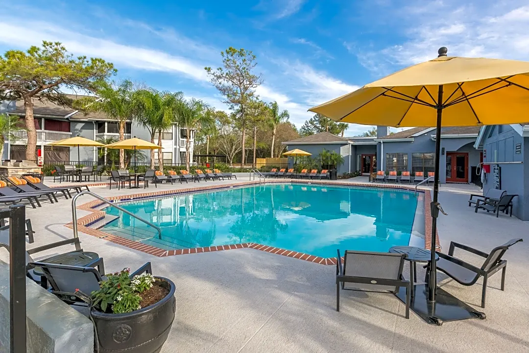 carrollwood tampa apartments