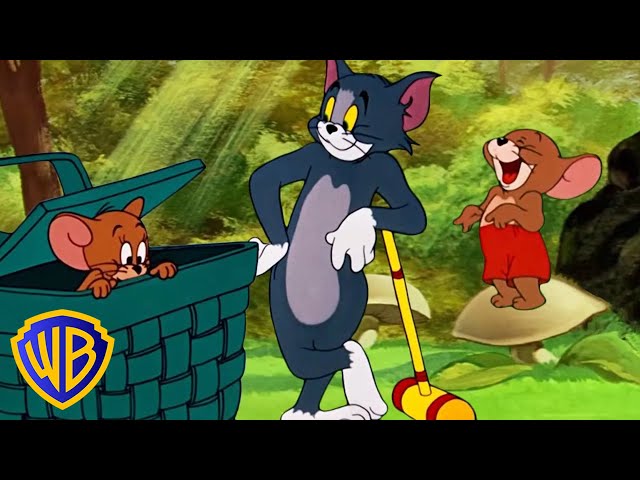 tom n jerry cartoon