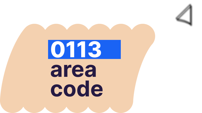 phone number 0113