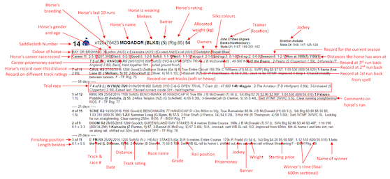 australian horse racing form guide