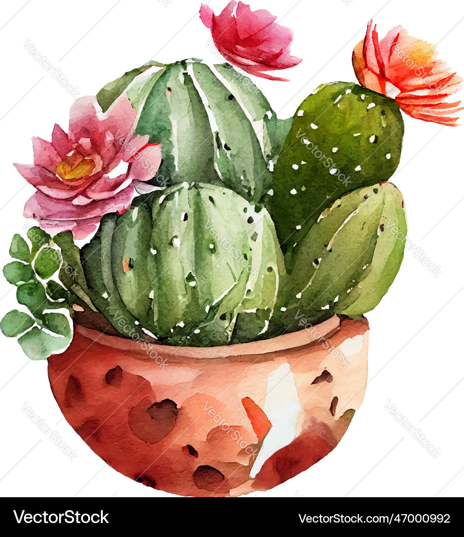 realistic cactus drawing