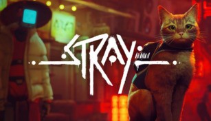 stray cd keys