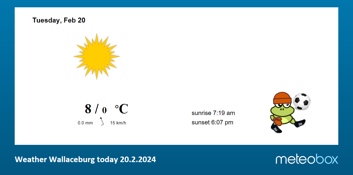 wallaceburg weather hourly