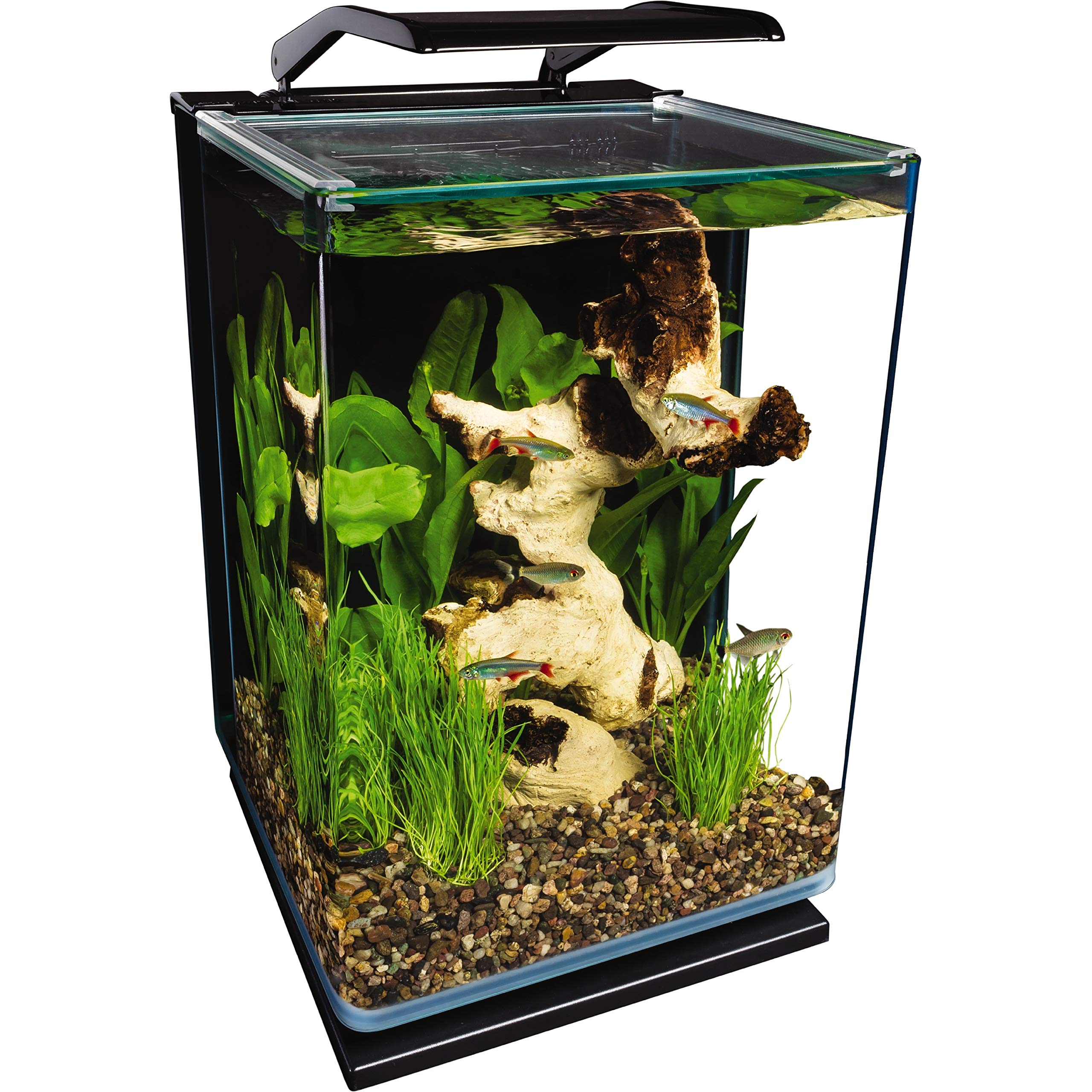 5 gallon fish tank