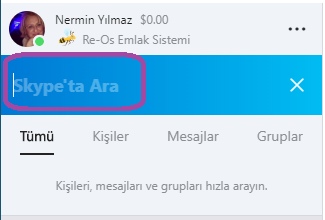 skype gmail ile giriş