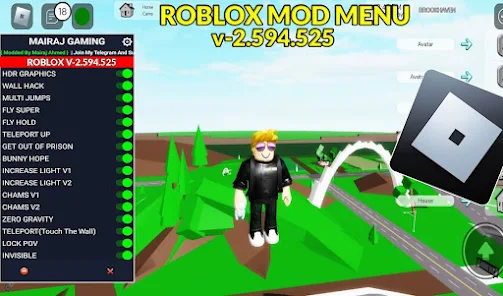 roblox hacks