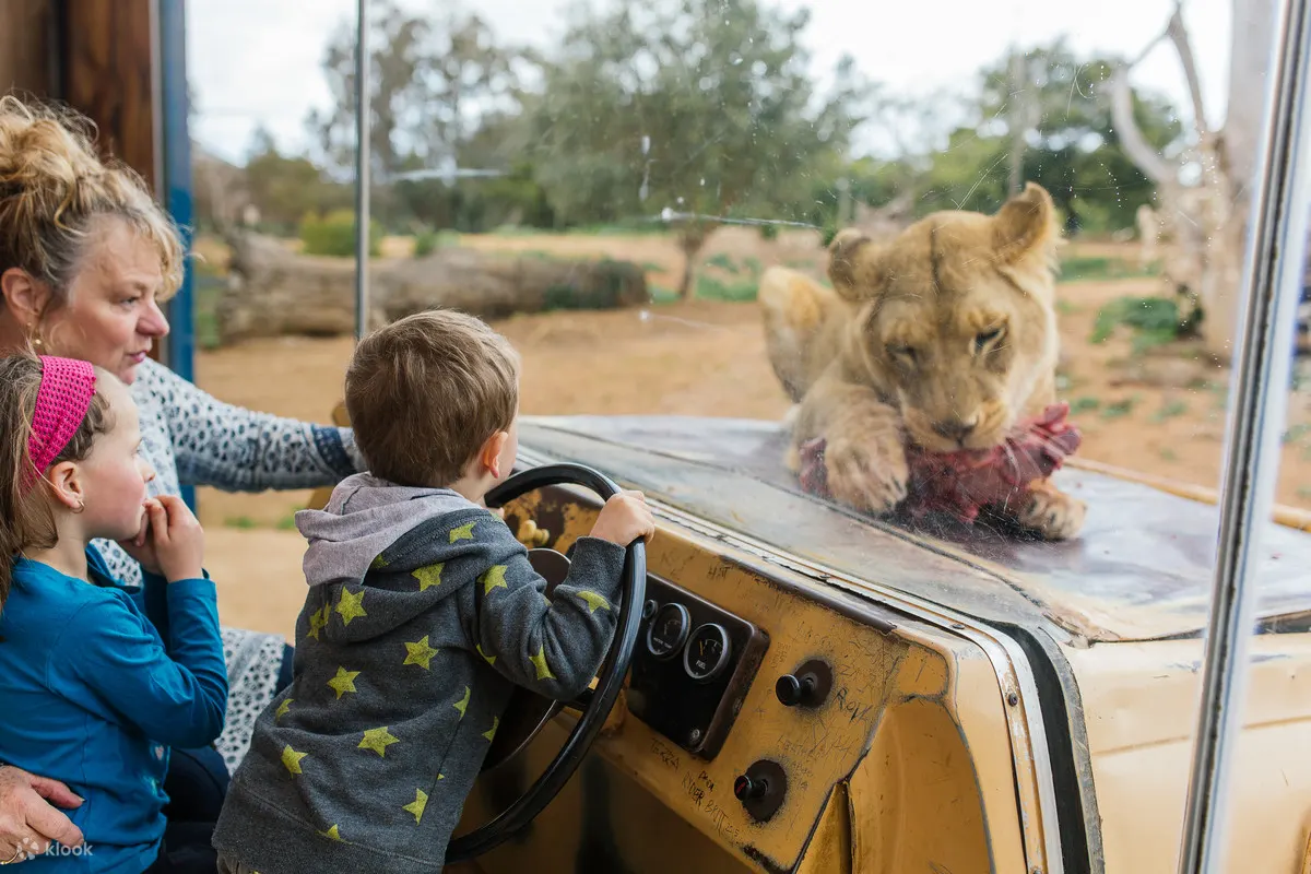 werribee open range zoo tickets